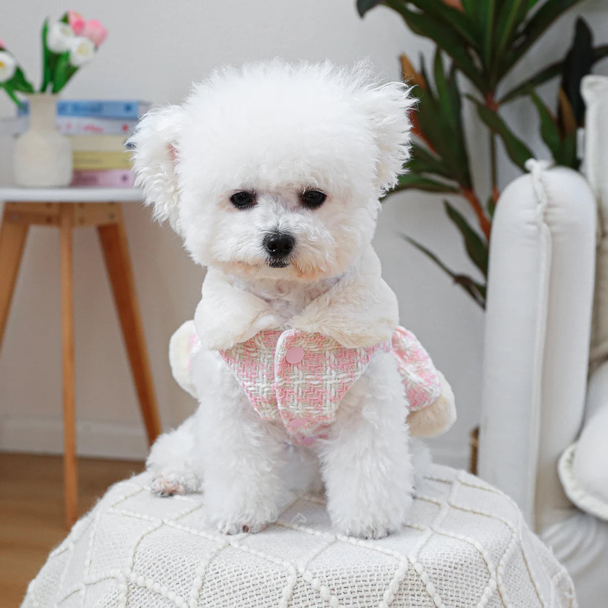 1PC Pet Clothing Dog Cat Autumn/Winter Thick Butterfly Pink Princess Dress Suitable for Small and Medium sized Dogs