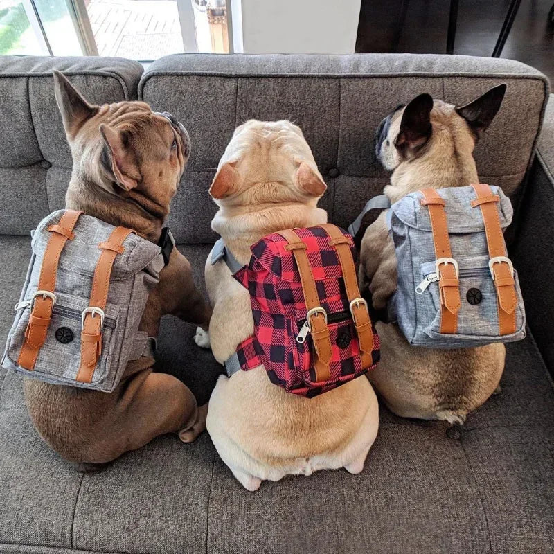 Preppy Style Bulldog Dog Travel Backpack Harness For Small Medium Dogsr To Wear Outdoor Cute Dog Carrier Bag Backpack Pets