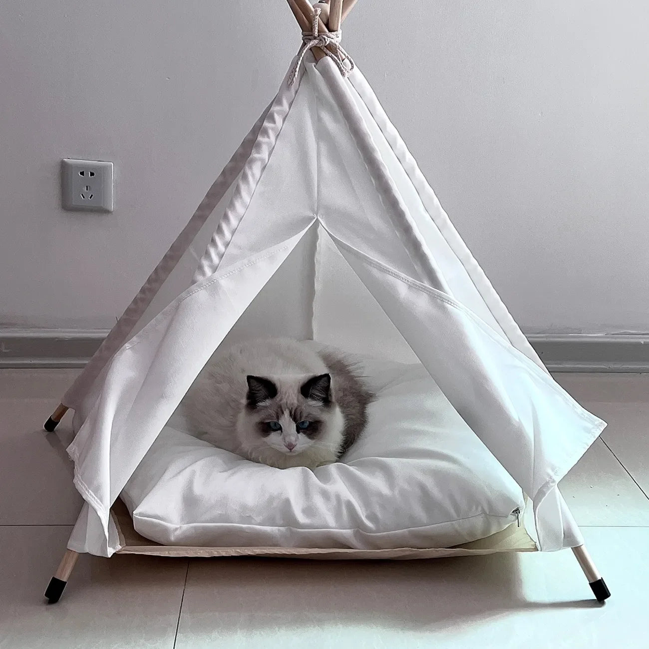 Tente pour animaux de compagnie, lit pour chien, portable, amovible, lavable, tipi, chiot, chat, intérieur et extérieur, niche avec coussin et tableau noir