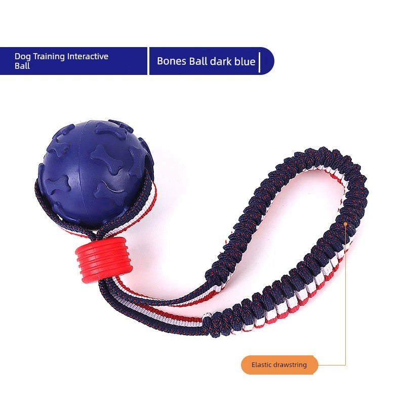 Interactive Dog with Tetherball Pet Supplies