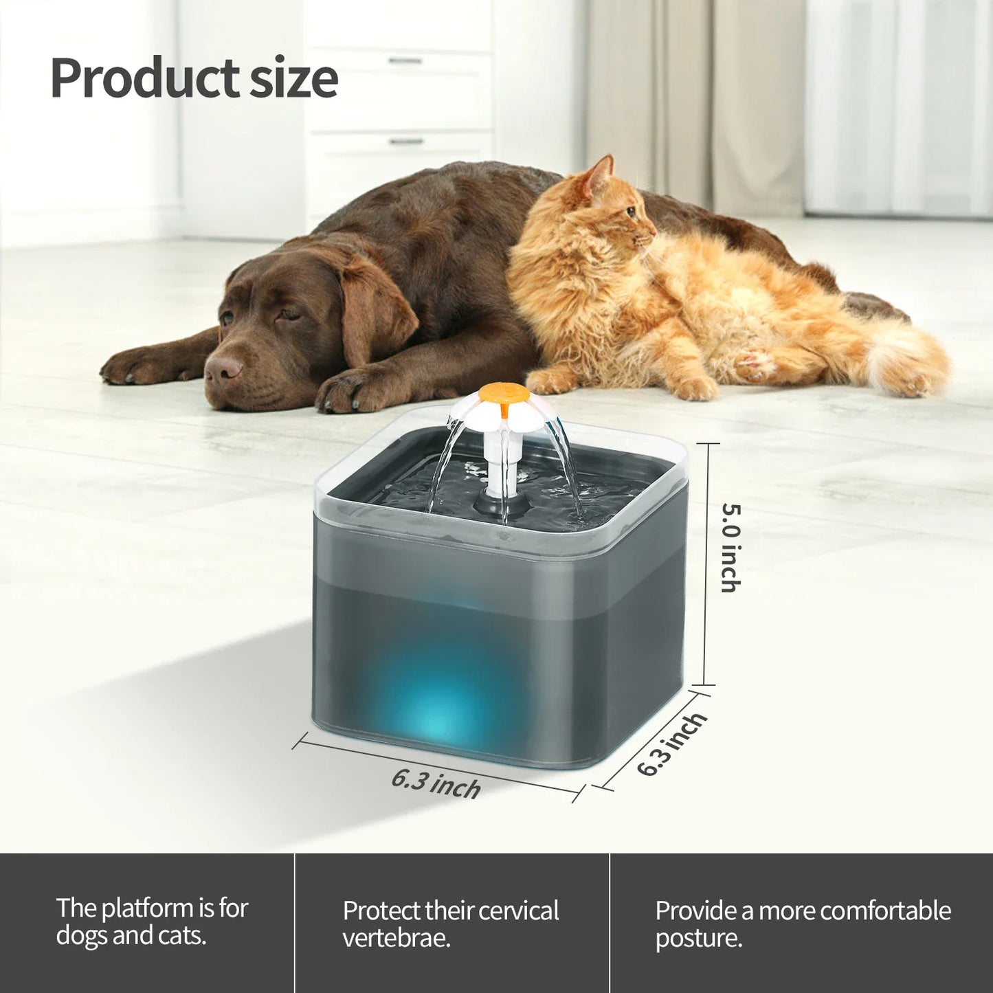 Fontaine à eau pour chat 67oz/2L pour petits chiens de compagnie, distributeur d'eau ultra silencieux avec éclairage LED, boisson automatique