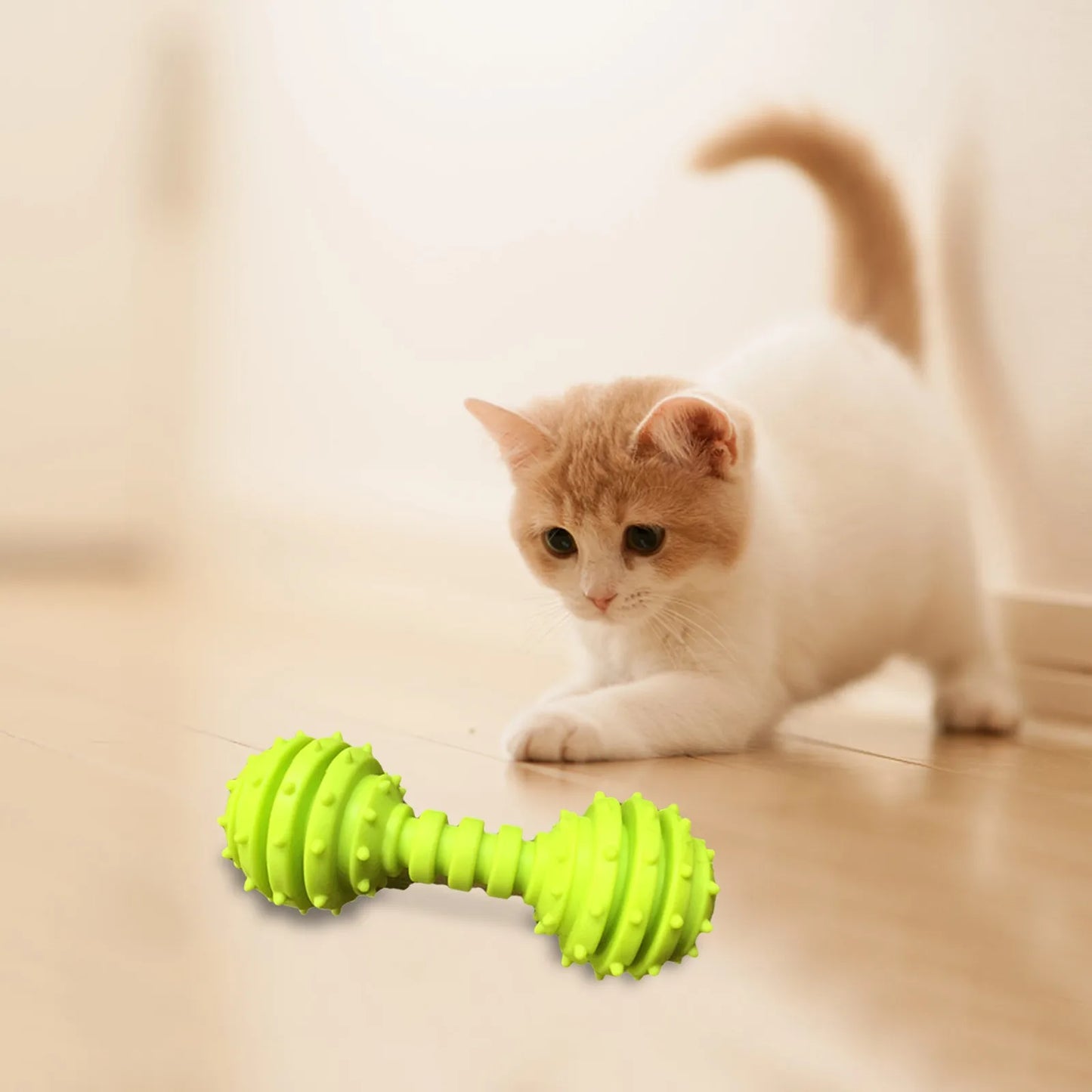 Heavyweight Durable Rubber Dog Chew Toys Dog Chew Bones Long Lasting Dumbbell Shape Green Blue Pink Cat Accessories