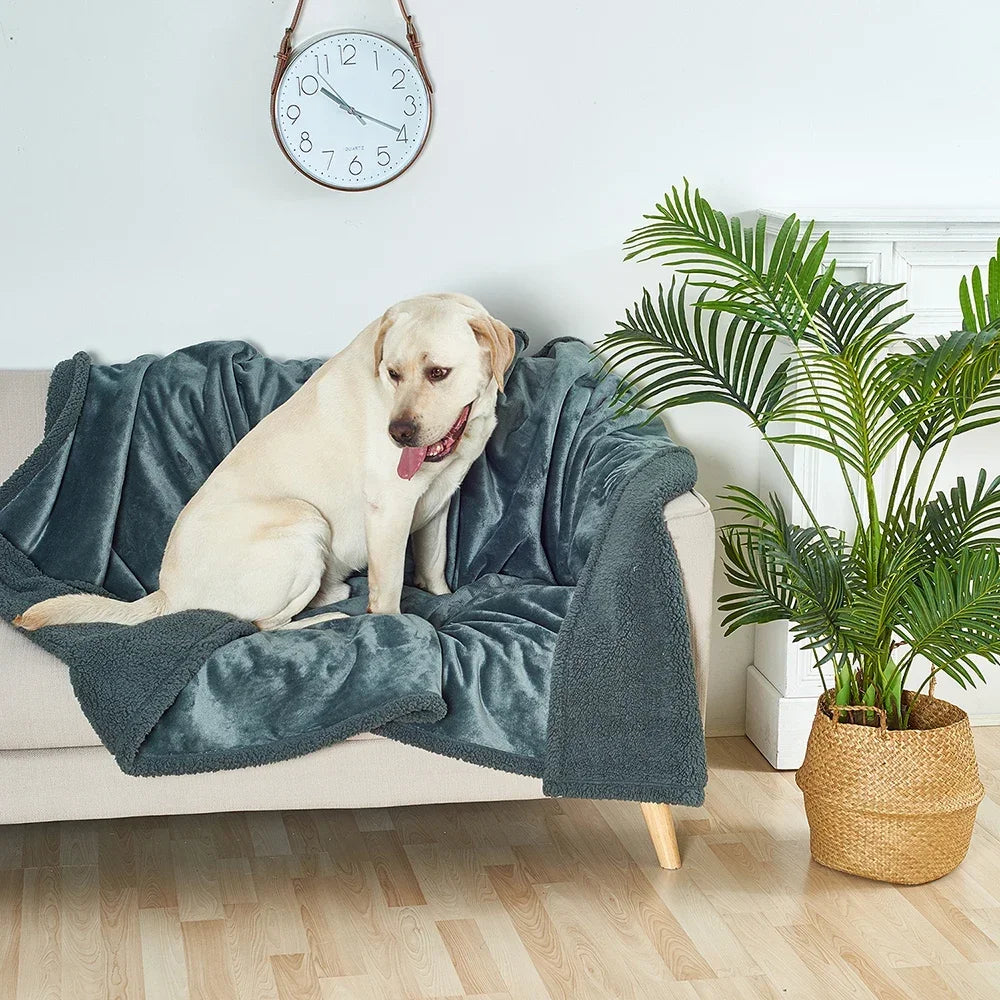 Sofa Bed Blanket Double Sided Sherpa Wool Furniture Protector Waterproof Pet Blanket Liquid Urine Resistant Dog