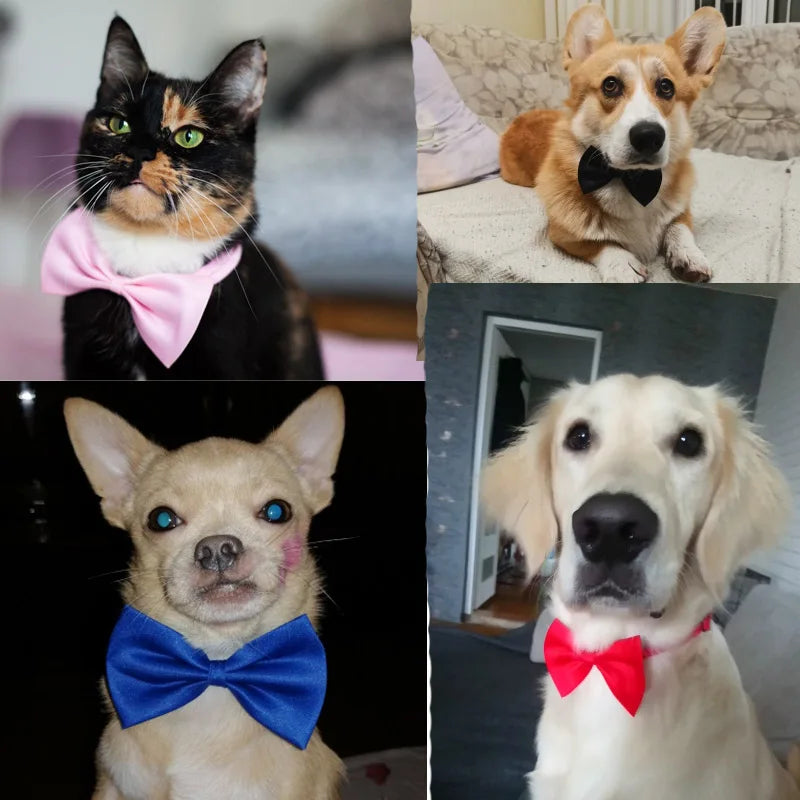 Pet Dog Cat Necklace Adjustable Strap For Cat Collar Dogs Accessories Pet Dog Bow Tie Puppy Bow Ties Dog Pet Supplies Accessorie