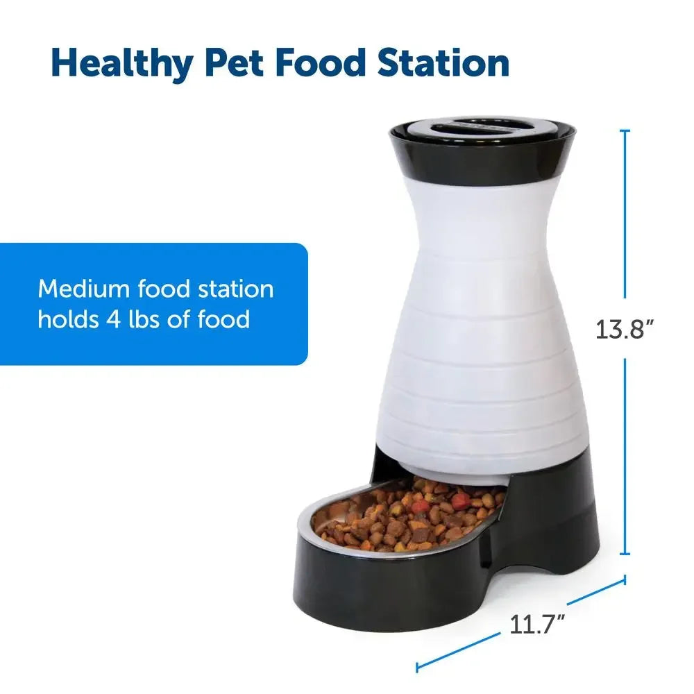 Automatic Pet Food Dispenser Large Capacity Gravity Feeder Stainless Steel Bowl Top Shelf Dishwasher Safe Slim Design Matching