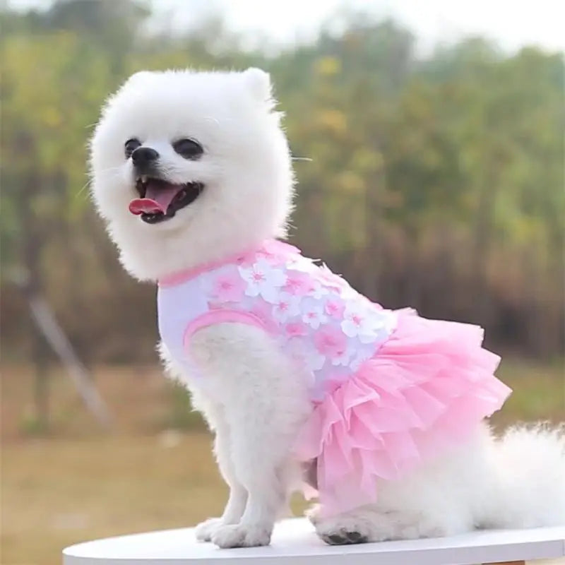 Pet Clothes Comfortable Cute Chiffon Pets Summer Dresses Pet Dog Dress Beauty Breathable Washable Dog Accessories Dog Clothes