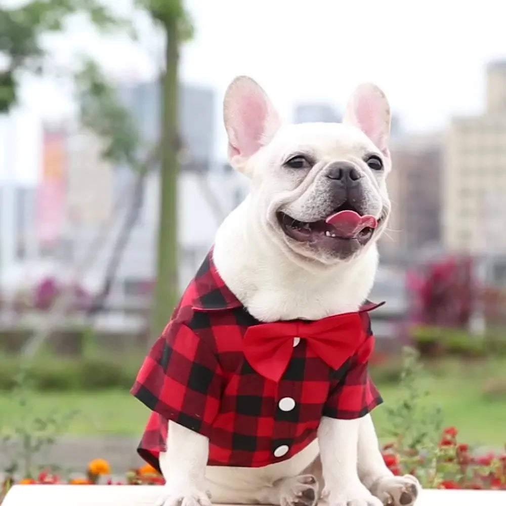 T-shirts classiques pour chiens avec nœud papillon et carreaux - Vêtements d'été fins et respirants pour petits et grands chiens - Chihuahua, chiot, chat - Gilet pour yorkshire