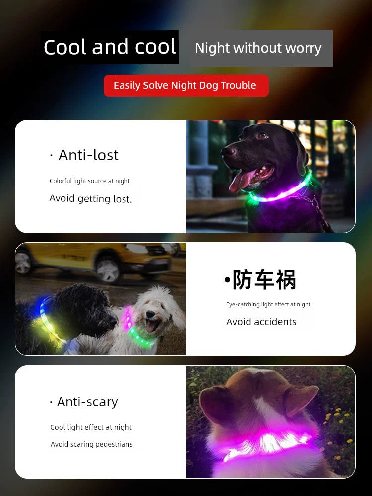 Luminous Circle Small Size Dogs Pet Dog