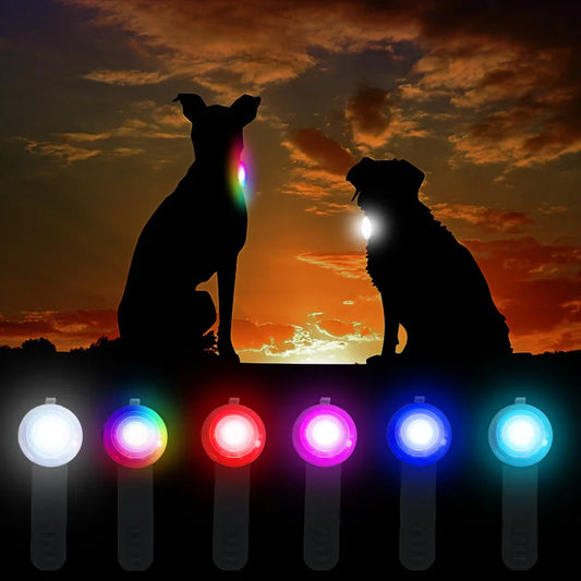 Led Dog Collar Pendant Rechargeable Pet Usb Luminous Collar Pendant Pet Flash Light Leash Accessories Safety Dog Necklace