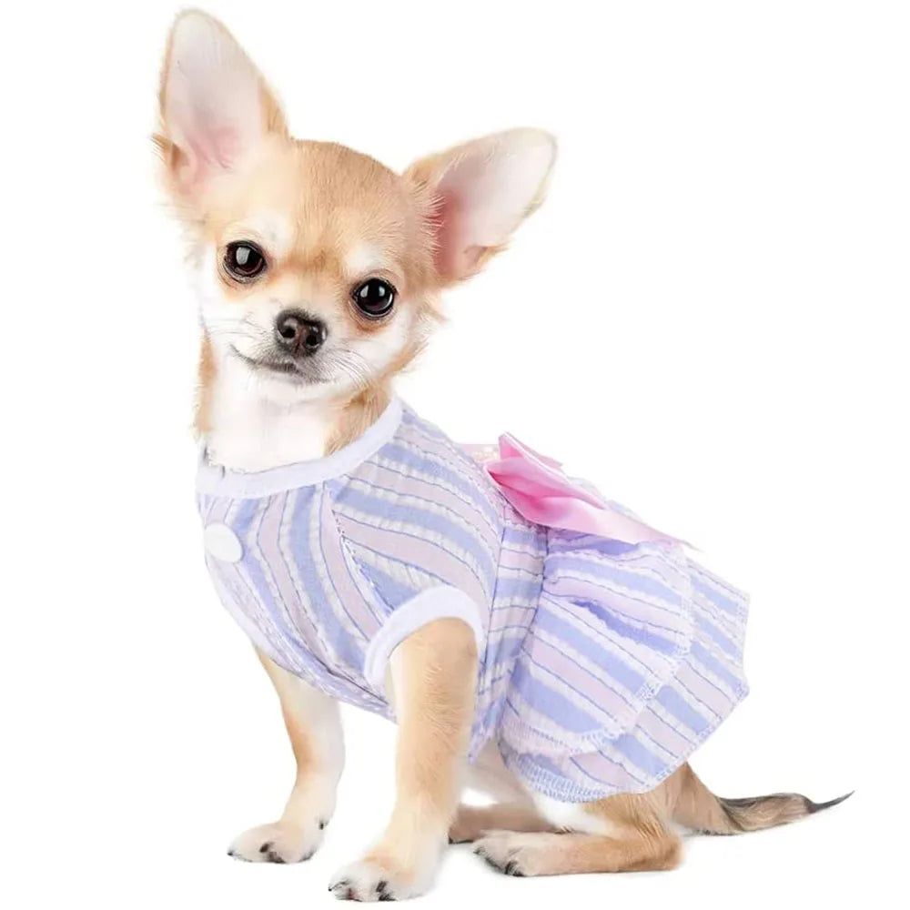 Dog Dress for Small Dog Girl Puppy Clothes Female Princess Tutu Striped Skirt Summer Shirt for Chihuahua Cat Pet Apparel Outfits