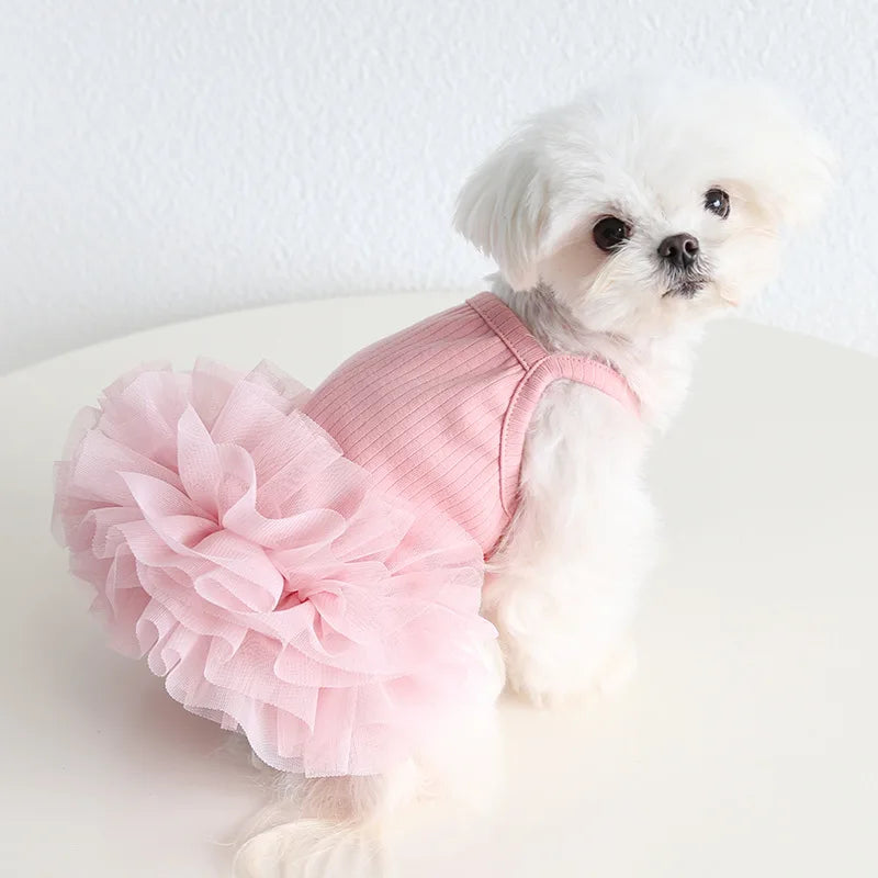 Puppy Clothes 2024 Pet Vest Jumper Dresses With Ballet Flullet Skirt Summer Spring Dog Fancy Apparel 4 Color XS XL Girl Princess