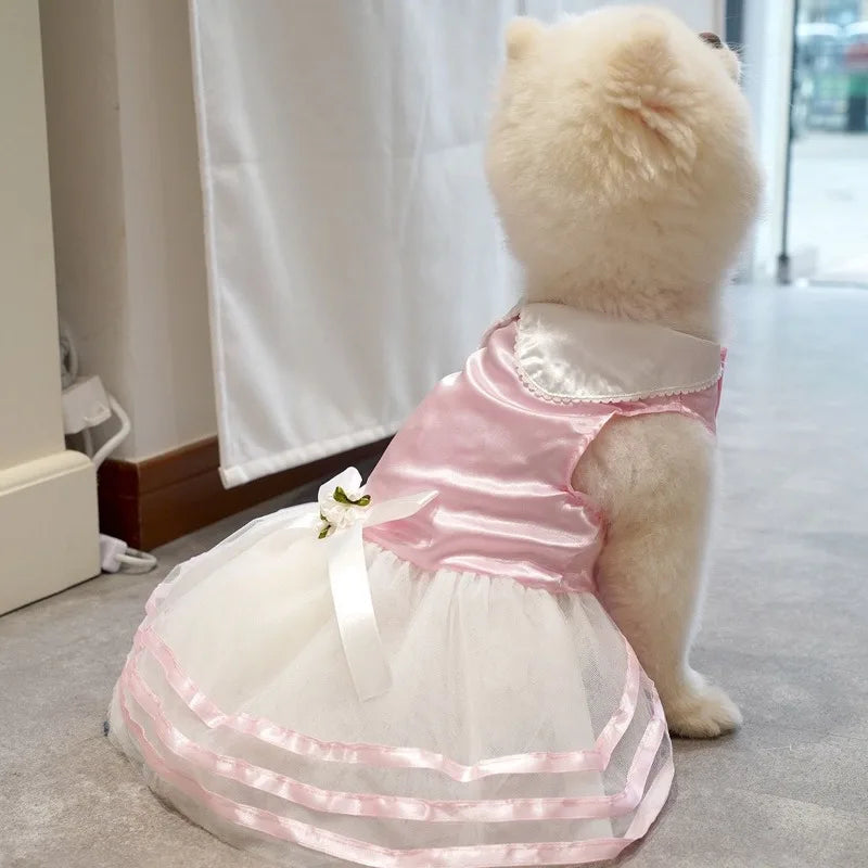 Princess Pet Clothes Spring Summer Dog Dress Clothes For Small Dogs Wedding Skirt Butterfly Puppy Cat Dresses