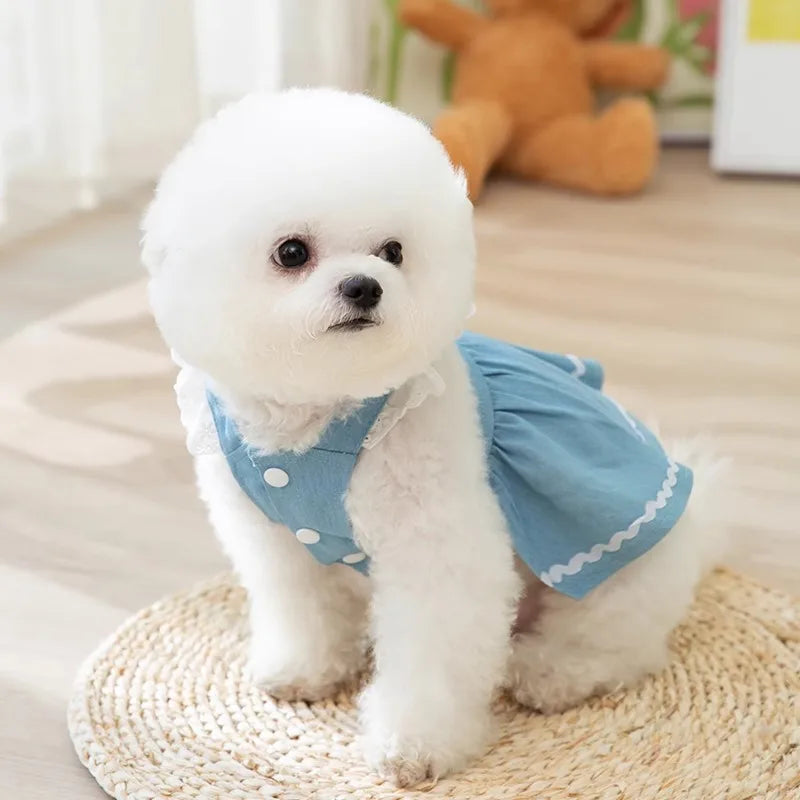 Strawberry Print Lace Dress for Dog and Cat Cute Pet Clothes Skirt with Buckle Chihuahua Bichon Puppy Skirt Costume with Buckle