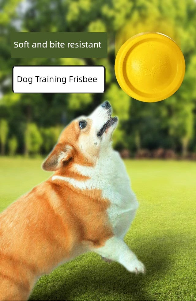 Ring Toy Border Training Dog