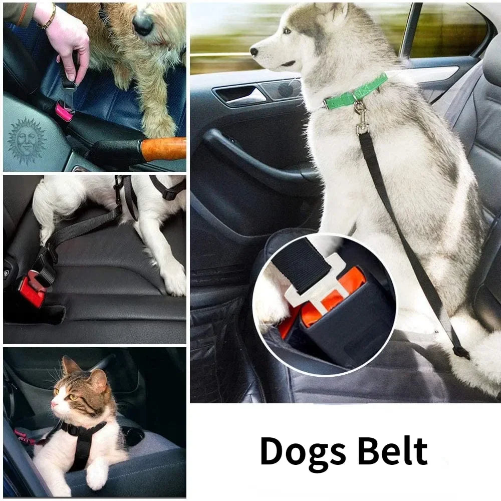 Adjustable Pet Cat Dog Car Seat Belt Pet Seat Vehicle Dog Harness Lead Clip Safety Lever Traction Dog Collars Dogs Accessoires