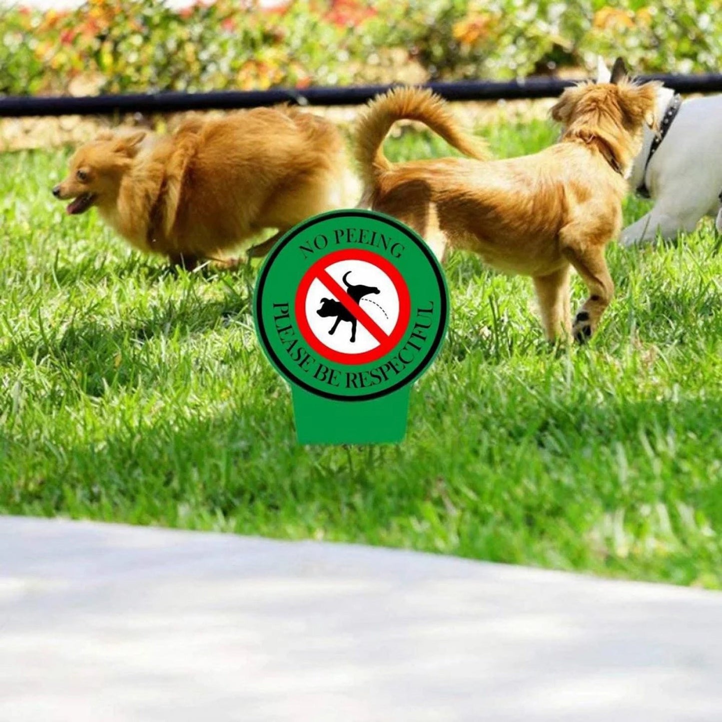 2 Pack Double Special Dog Sign No Peeing Dog Sign With Stake Stop Dogs From Peeing Metal Dog Signs