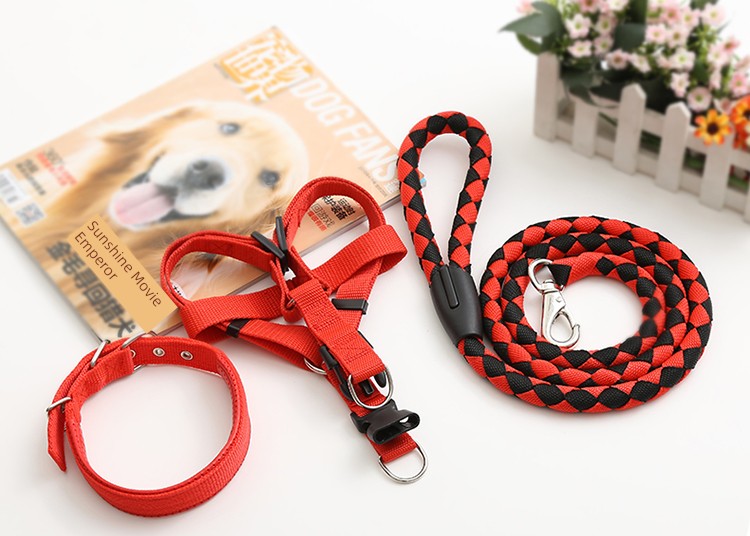 Teddy Large Collar Pet Supplies Dog Hand Holding Rope