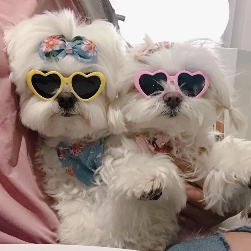 New Fashion Pet Dog Cat Sunglasses Cute Heart Shape Cats Glasses Eye-Wear For Small Dogs Cat