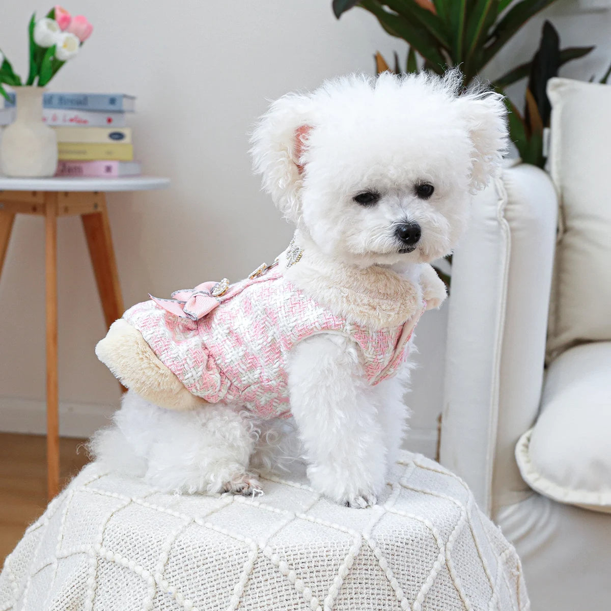 1PC Pet Clothing Dog Cat Autumn/Winter Thick Butterfly Pink Princess Dress Suitable for Small and Medium sized Dogs