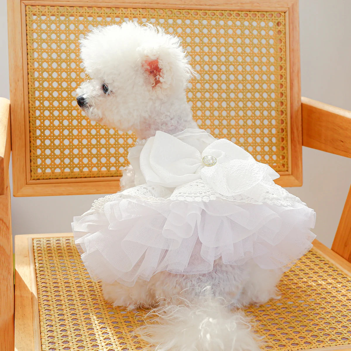 1PC Pet Clothing Spring/Summer Thin White Princess Wedding Dress Princess Dress Suitable for Small and Medium sized Dogs