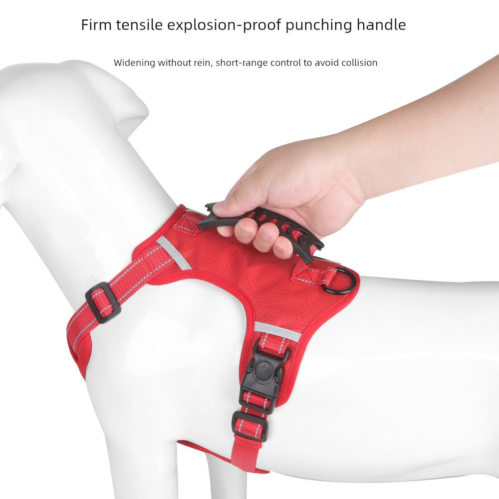 Pet Harness Dog Walking Dog Hand Holding Rope