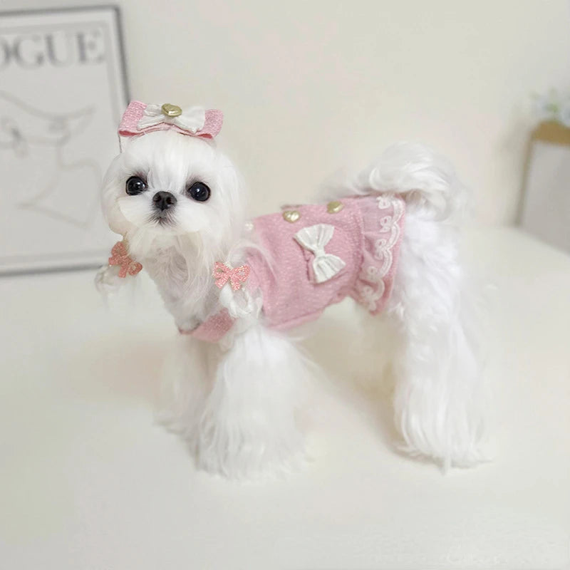 Pet Cat and Dog Dress Spring Autumn Winter Lace Heart Buckle Suspender Dog Clothes for Small Dogs Puppy Dog Clothes