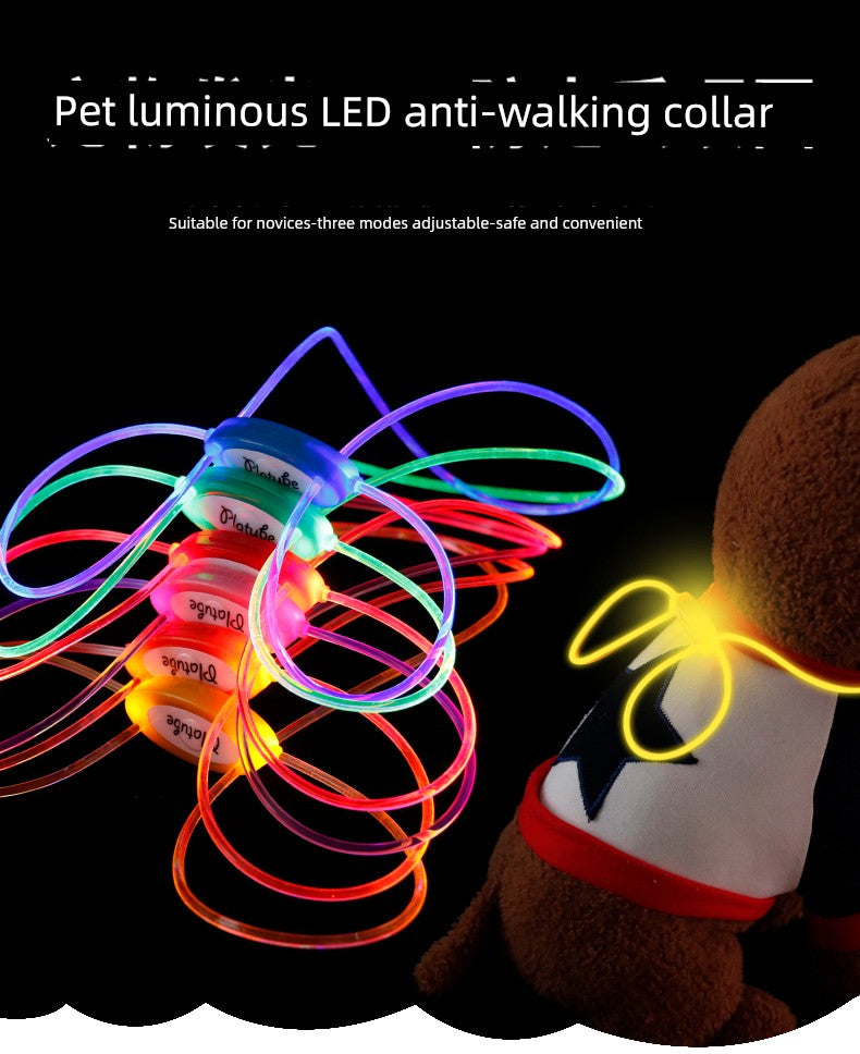 Night Glowing Collar