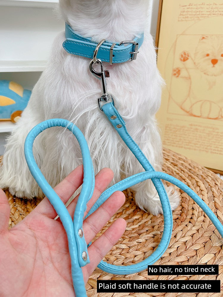 Cat Hand Holding Rope Medium-Sized Dog Ornament Dress up Dog