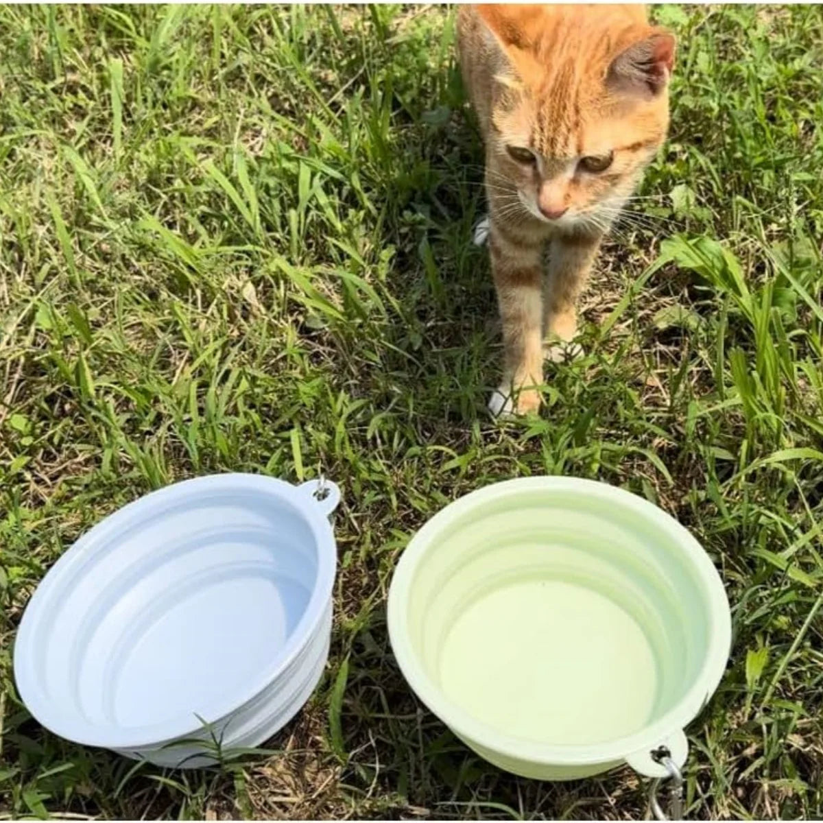 2pcs Collapsible Pet Silicone Dog Food Water Bowl Outdoor Camping Travel Portable Folding Supplies Dishes with Carabiner