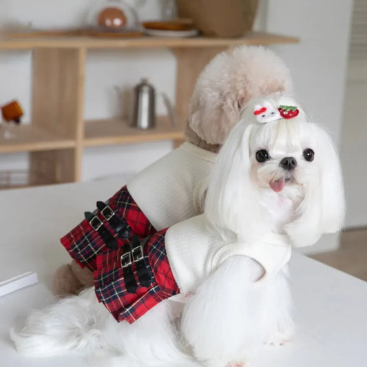 Autumn/Winter Pet Plaid Skirt Dog Dress Cute Pet Dress Teddy Bichons Maltese Dog Dress Puppy Clothes Dog Clothes for Small Dogs