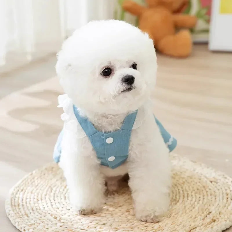 Cute Dog Jeans Dress Strawberry Print Lace Pet Dog Clothes Chihuahua Bichon Frise Summer Puppy Skirt Cat Dog Costume with Buckle