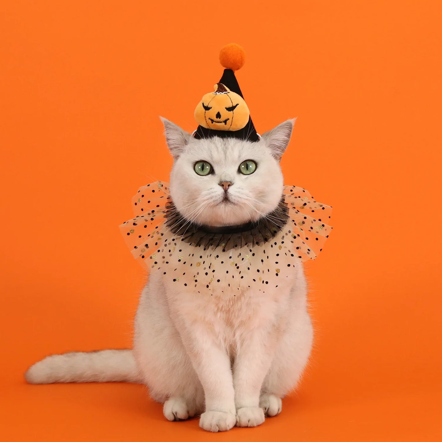 Conjunto de Halloween para mascotas, sombrero de murciélago, araña y calabaza, diadema con babero de encaje, bufanda triangular, accesorios para perros y gatos, lazos para cachorros y perros