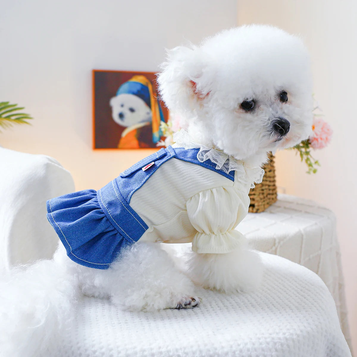 1PC Pet Clothing Spring and Autumn Heartbeat Cowboy Princess Skirt Suitable for Small and Medium sized Dogs