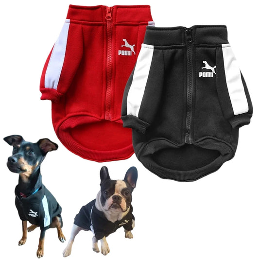 Baseball Pet Clothes for Small Medium Dogs Cats Jacket Winter Puppy Baseball Uniform French Bulldog Chihuahua Pug Costumes