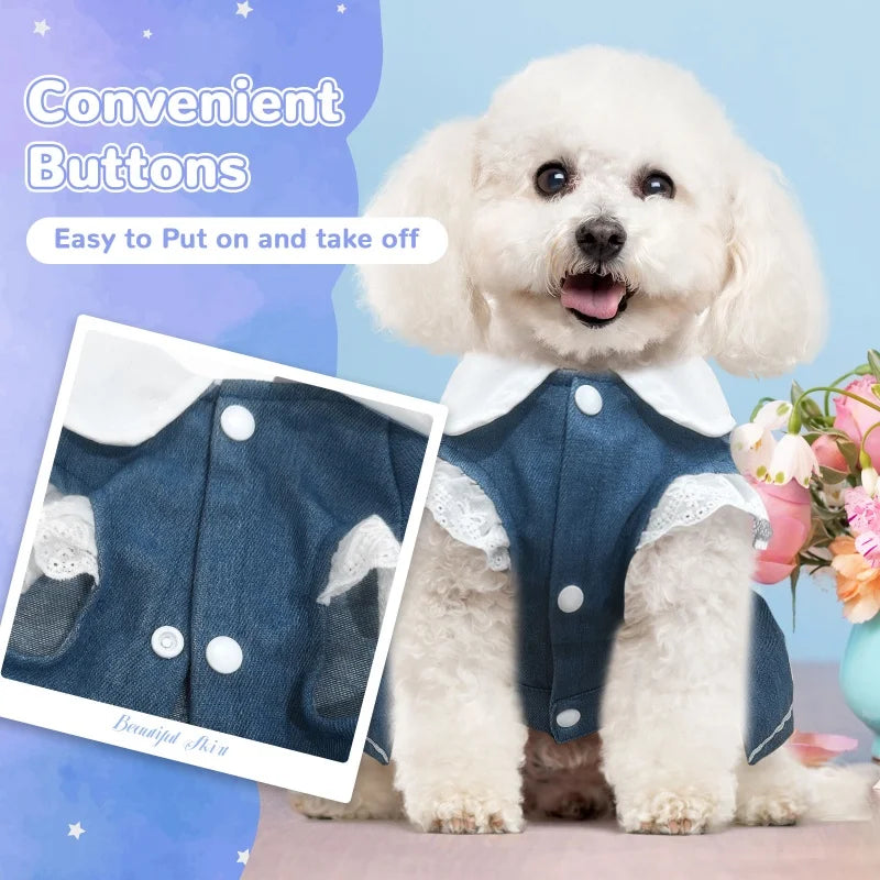 Fashion Dog Denim Skirt for Small Dogs Pet Dog Clothes Summer Puppy Princess Dress Strawberry Print Cat Dress Chihuahua Costumes