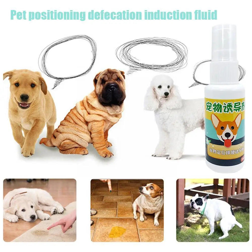 30ml Pet Dog Spray Inducer Dog Props Inducer Dogs Puppy Pad Doggy Pee Training Toilet For Puppy Pet Supplies C1g3