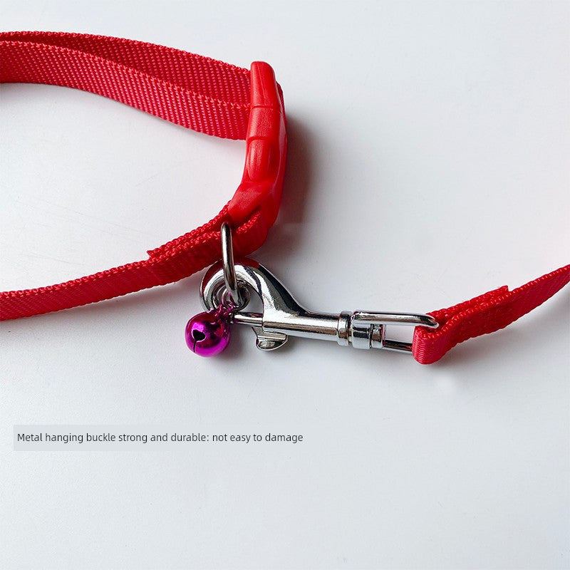 Collar Small and Medium-Sized Dogs Dog Hand Holding Rope