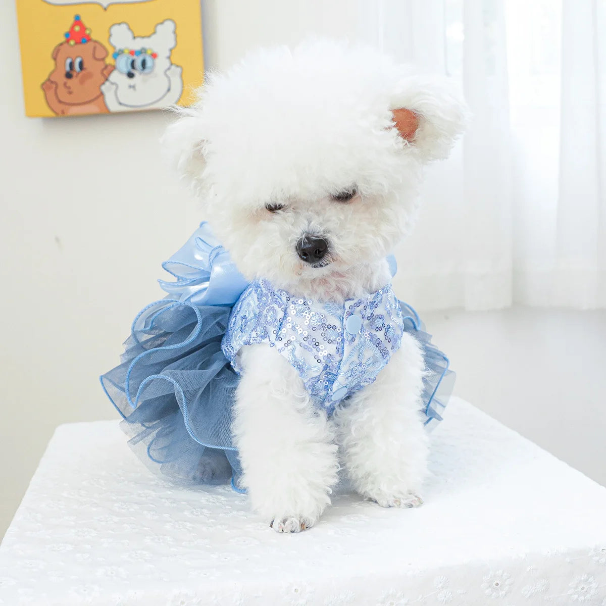 1PC Pet Clothing Spring and Autumn Blue Star River Dress Wedding Princess Dress Suitable for Small and Medium sized Dogs