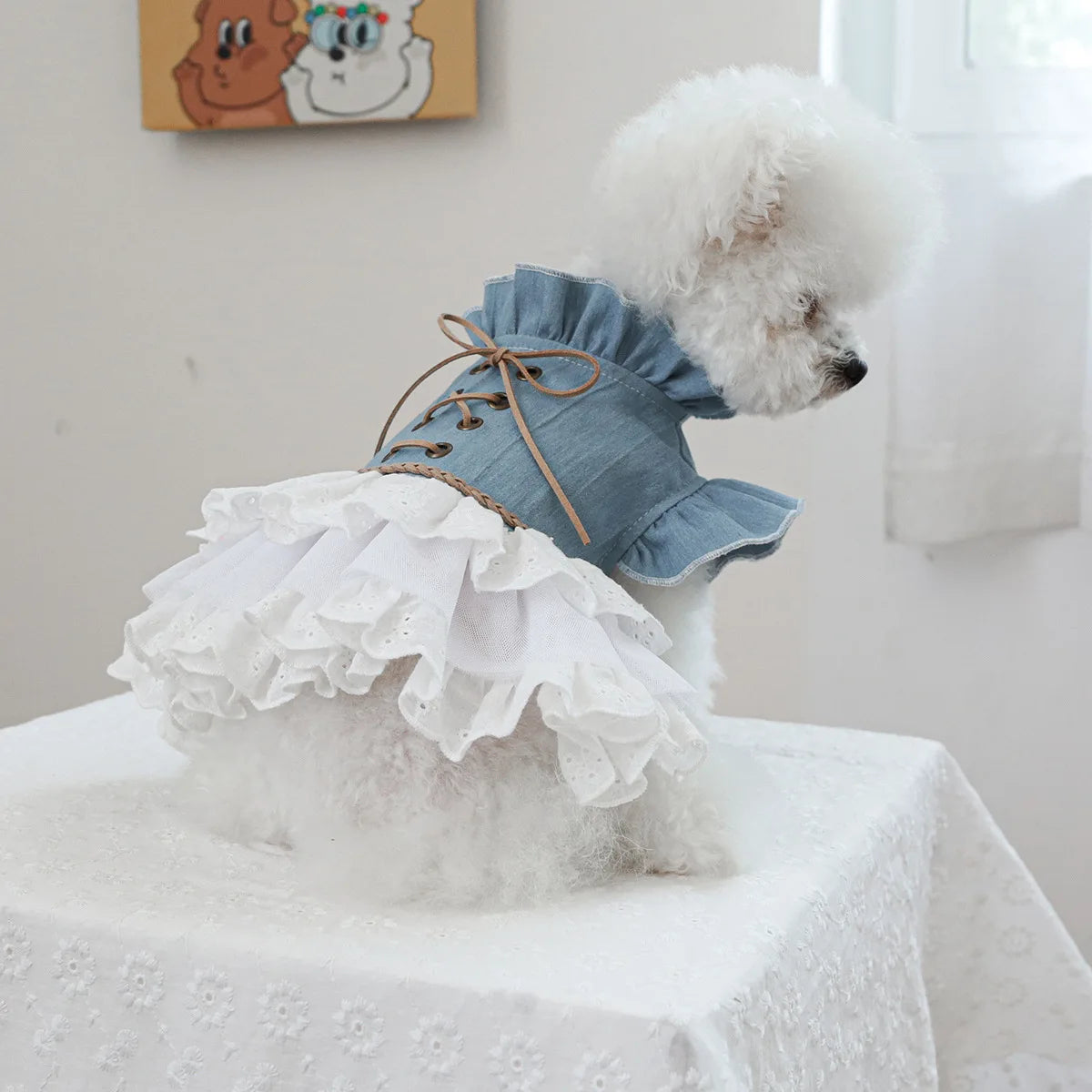 Pet Cowboy Lace Coat for Dogs Cats Ponds Dresses Cute Cowboy Skirts Dog Dresses for Small Dogs Puppy Clothes for Small Dogs