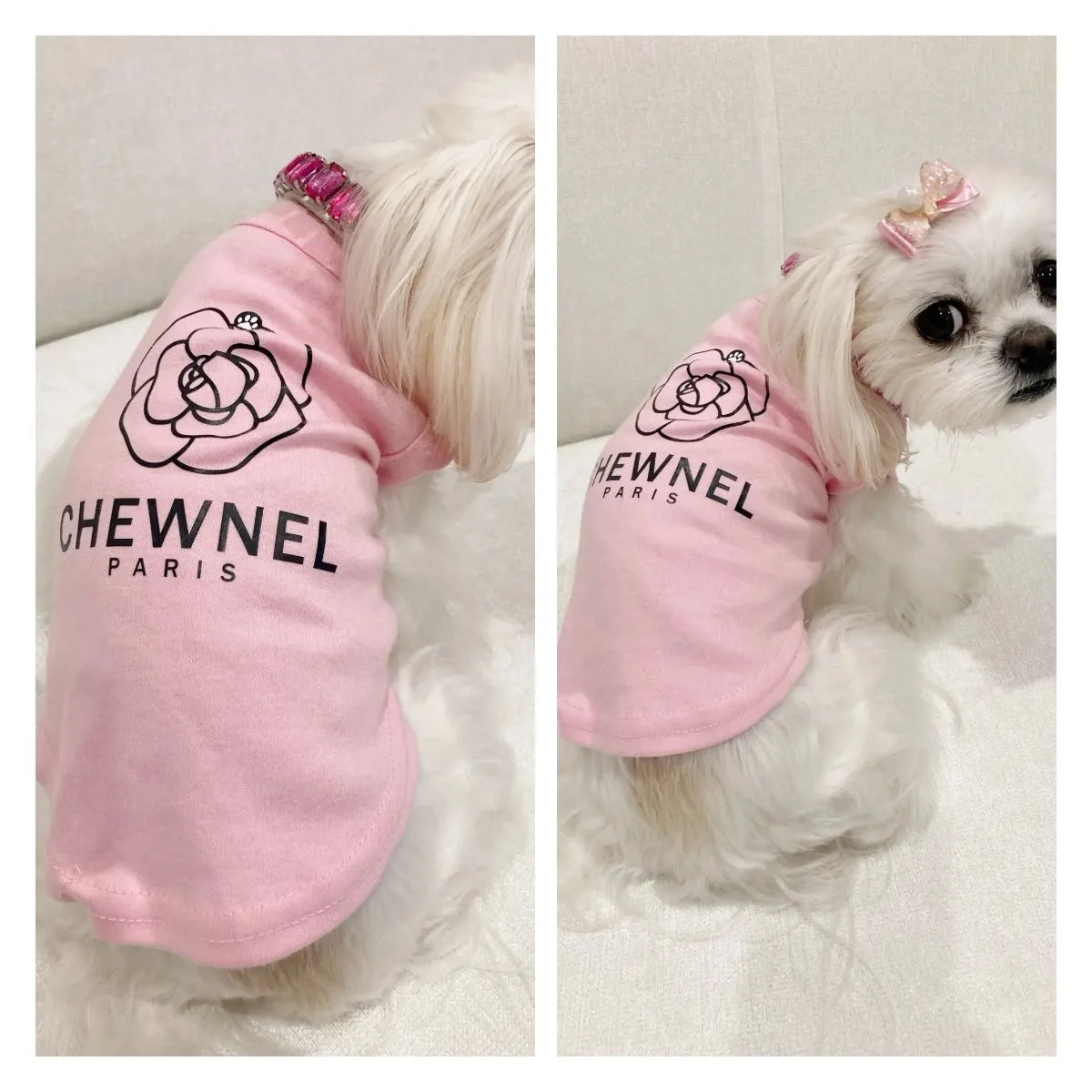 Chewnel Dog Summer Fashion Clothes Small Medium Chihuahua Yorkie French Bulldog Pet Designer Inspired Clothes For Cat And Puppy