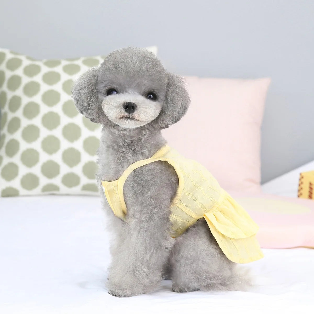 Pet Princess Dress Dogs V-neck Dress Mesh Dress Pet Spring/Summer Pearl Fresh Dog Clothes Designer Dog Clothes for Small Dogs