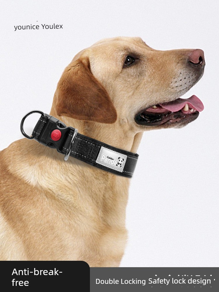 Medium to Large Dog Collar