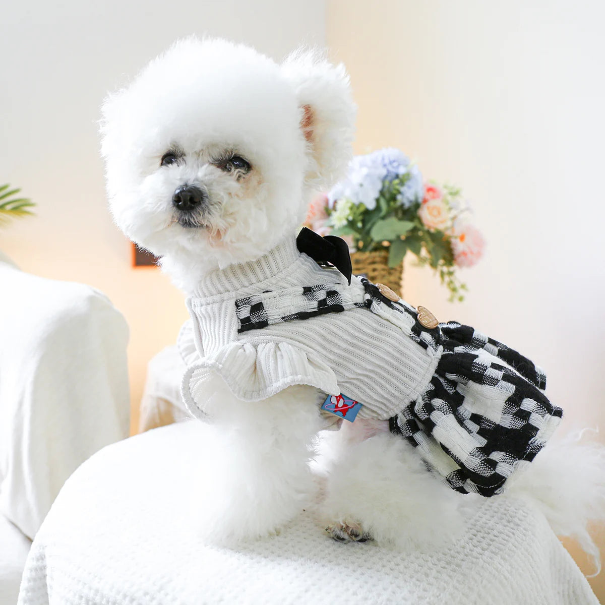 1PC pet clothing autumn and winter thick black and white bow princess skirt for small and medium-sized dogs