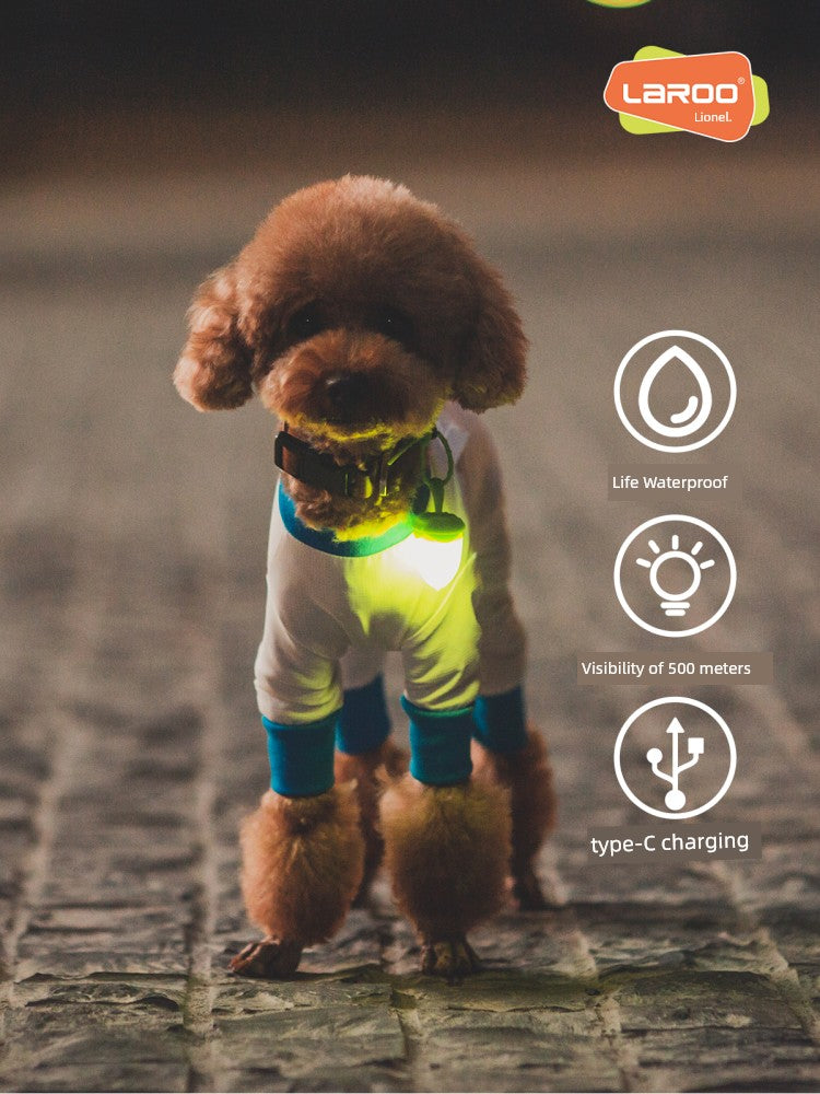 Night Light Rechargeable Luminous Dog Tag