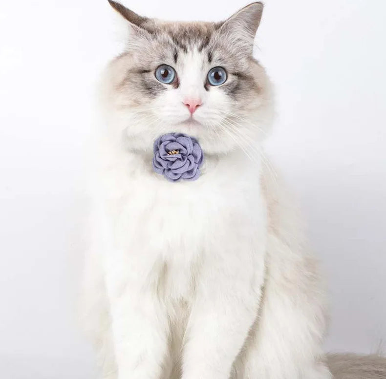 Collier réglable pour animaux de compagnie, joli nœud, collier durable pour chat, collier pour chaton, collier pour chat, chiot, bouton de sécurité, fournitures cadeaux pour animaux de compagnie