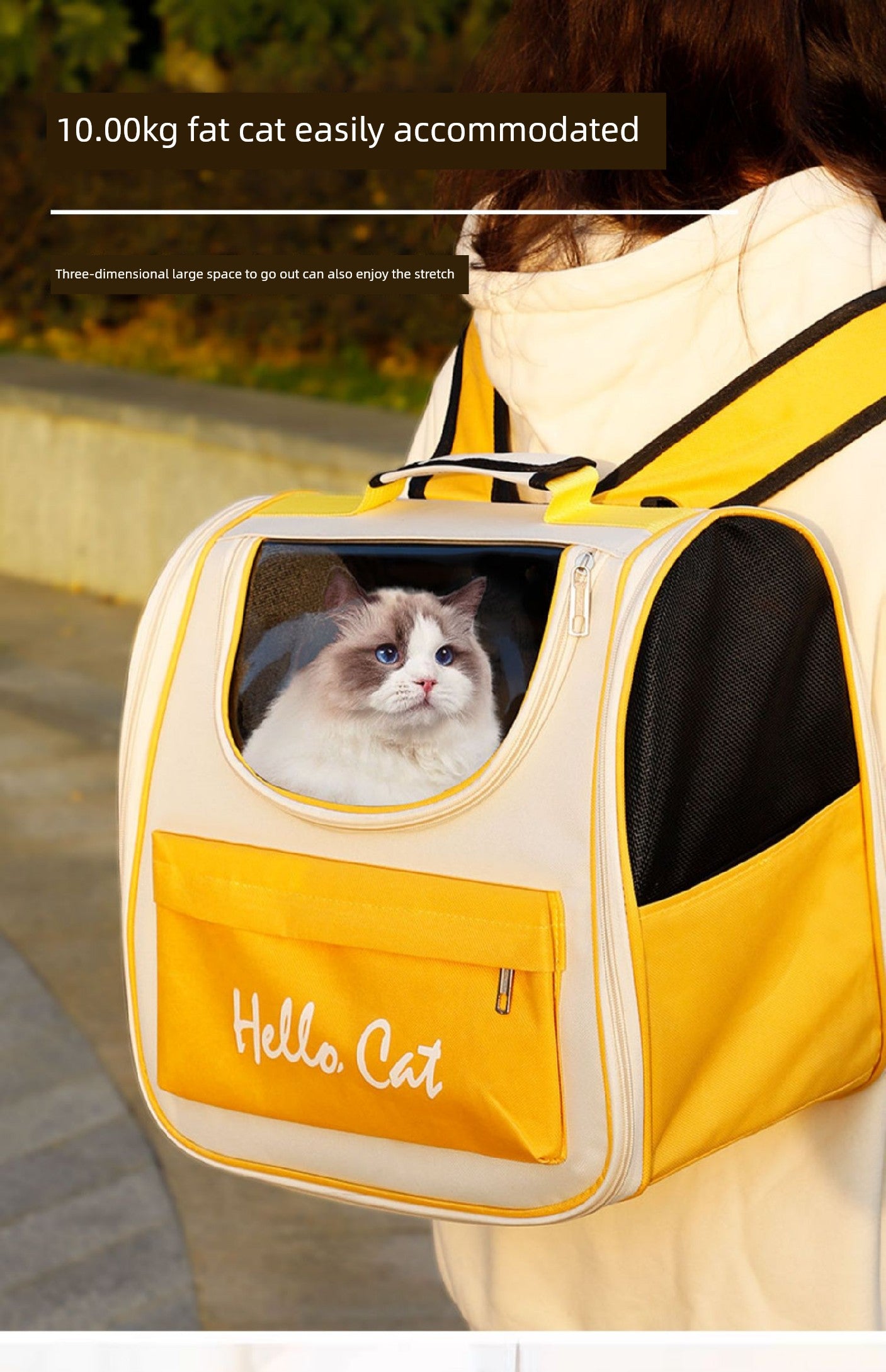 Space Capsule All Year Round Portable Clear Pet Supplies Cat Bag