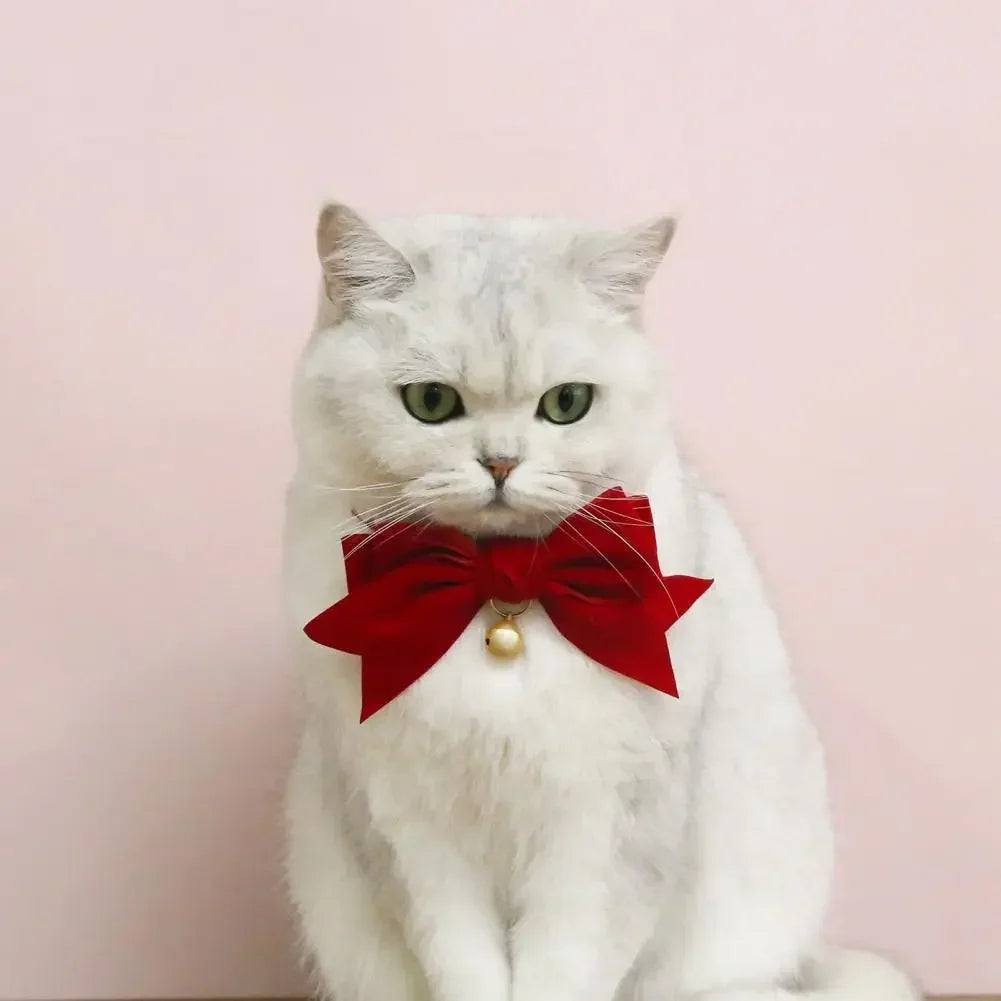 Pet Collar Exquisite Comfortable Decorative Pet Kitten Cat Velvet Bowknot Neck Circle Neck Bow Pet Accessories