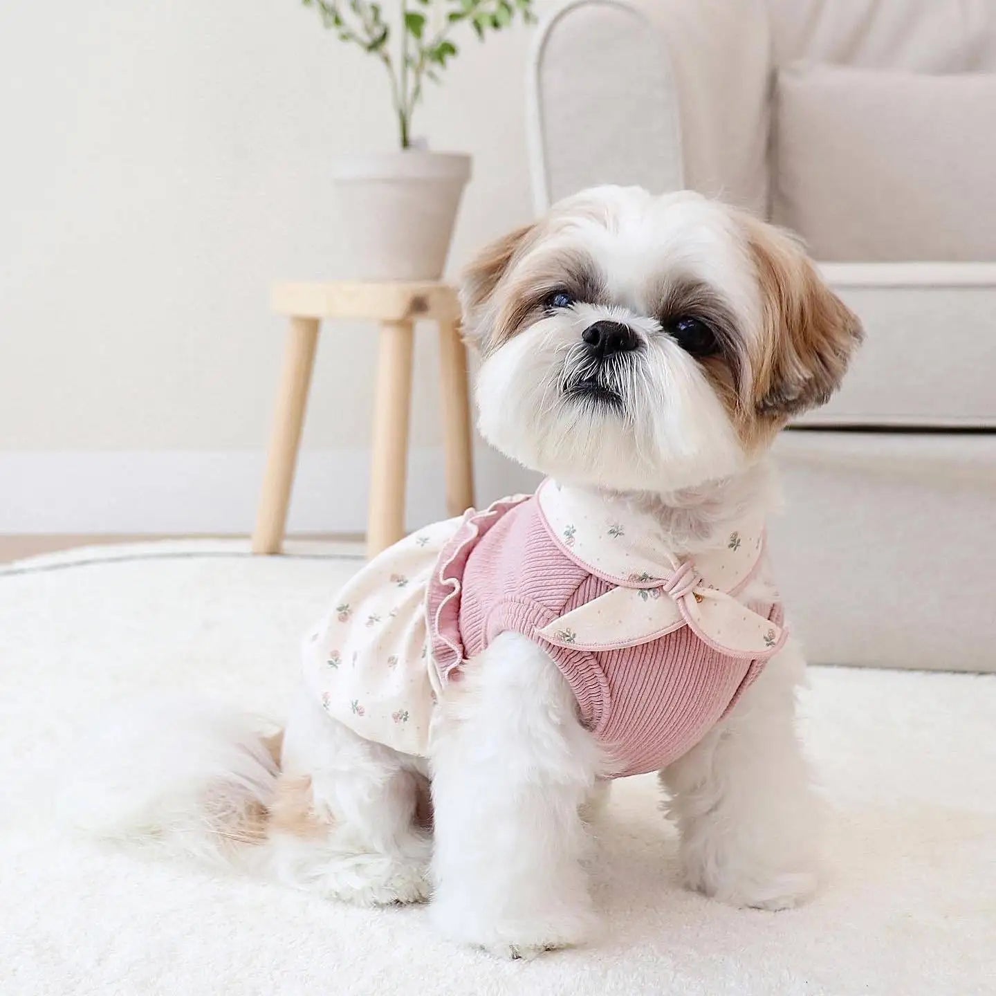 New Winter INS Small Scarf Floral Bubble Skirt Vest Dog Cat Home Clothes Pet Clothes Scarves Dog Clothes Designer Floral Lace