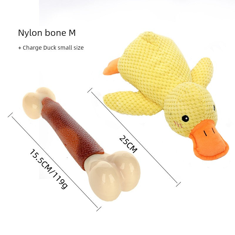 Molar Rod Bone Rubber Dog