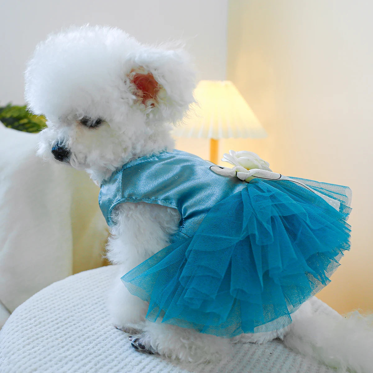 1PC Pet Clothing Cat Spring/Summer Blue Tank Top Bow Princess Dress Traction Buckle Suitable for Small and Medium sized Dogs